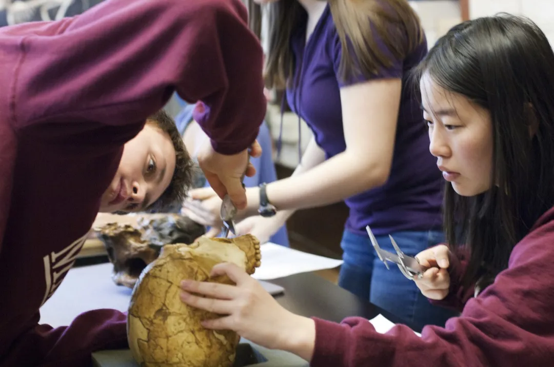 如图片无法显示,请刷新页面